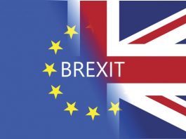 Brits Spur on Brexit: Just 9% Praise Outcome; think tank research
