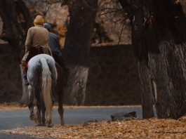 Asian think tanks analysis - Is it embarrassing withdrawal of US from Afghanistan?