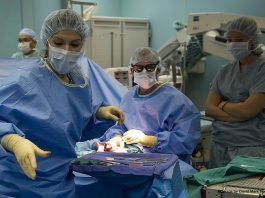 Overweight bodies are more vulnerable from coronavirus, research