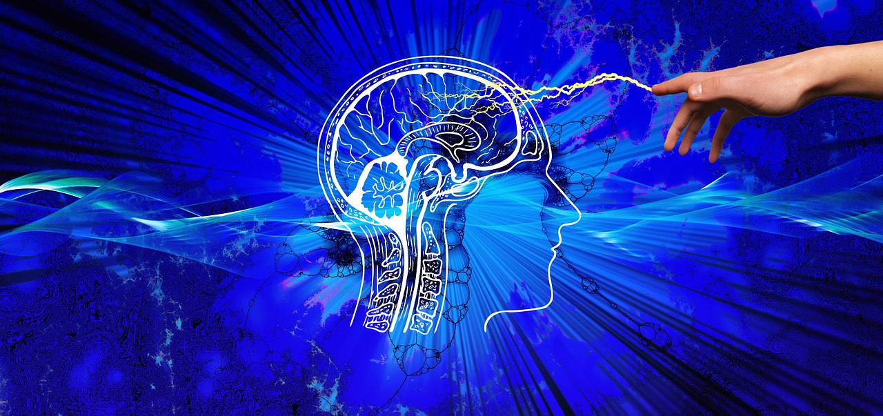 Think Tank Reveals Fascinating Insights into Brain's Sensory Processing, Image by Gerd Altmann from Pixabay Think Tank Reveals Fascinating Insights into Brain's Sensory Processing, Image by Gerd Altmann from Pixabay
