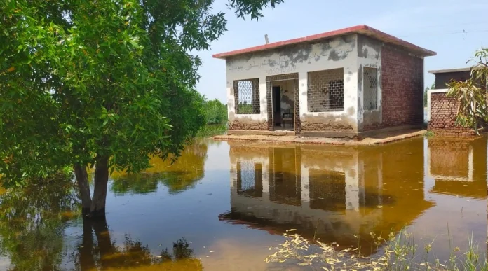UNDP Strengthens Pakistan’s Flood Recovery Efforts,Photo UNICEF Pakistan UNDP Strengthens Pakistan’s Flood Recovery Efforts,Photo UNICEF Pakistan