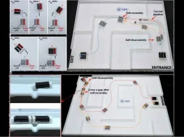 Chinese Think Tank Unveils Soft Robot That Thrives in -50°C Cold, Photo Northwestern Polytechnical University
