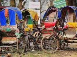 Why Pakistan’s Bond with Bangladesh Is a Game-Changer for South Asia, Photo-David-Bawm-Pixabay