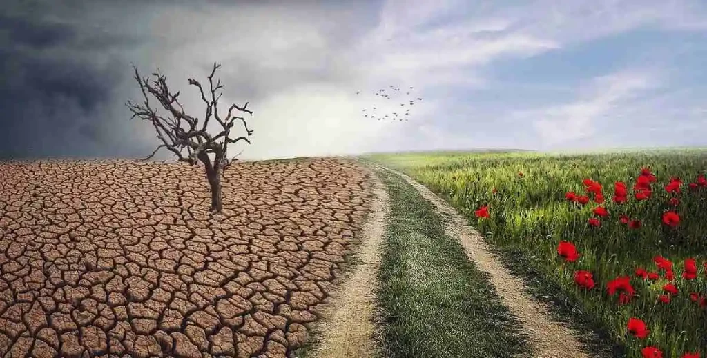 Climate Betrayal Unveiled: How Rich Nations Profit $42B from Global South’s Crisis Photo-Enrique-Pixabay