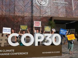 COP30 : Disinfo Spikes 267 %—Now 12 Governments Fight Back, Photo UN Climate Change - Diego Herculano