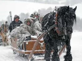 Climate Change Strikes Norway: Wildlife Freezes in Arctic Deep Freeze, Photo-by-Arne-Nyaas-Pixabay