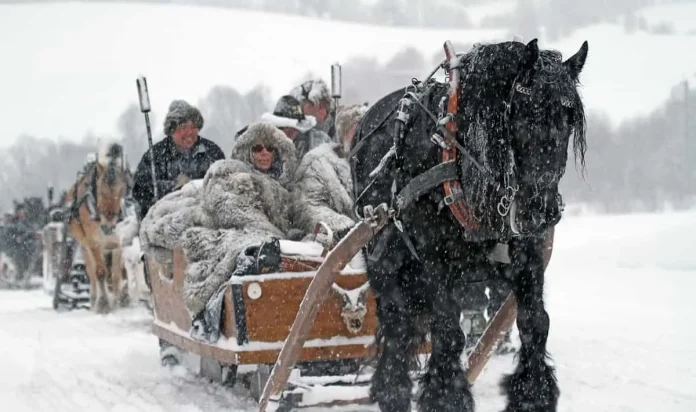 Climate Change Strikes Norway: Wildlife Freezes in Arctic Deep Freeze, Photo-by-Arne-Nyaas-Pixabay