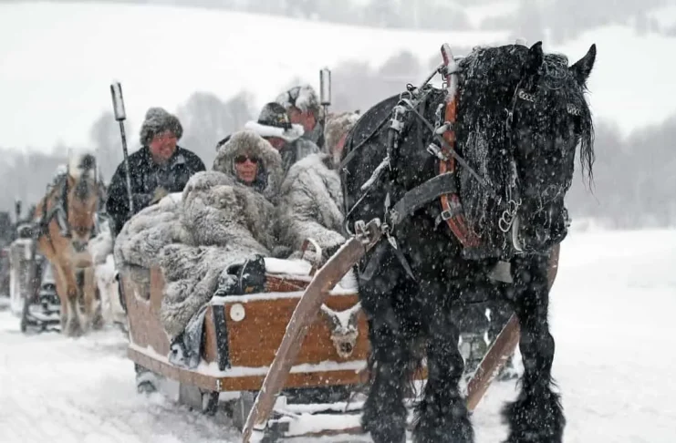 Climate Change Strikes Norway: Wildlife Freezes in Arctic Deep Freeze, Photo-by-Arne-Nyaas-Pixabay