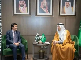 Why Global Miners & EV Giants Are Suddenly Obsessed with Pakistan, Photo